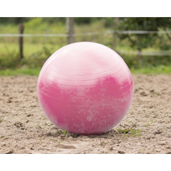 Ballon de jeu pour chevaux Myhorsely I L'équipement des chevaux et du cavalier. Magasin en ligne d'équitation dédié au cavalier