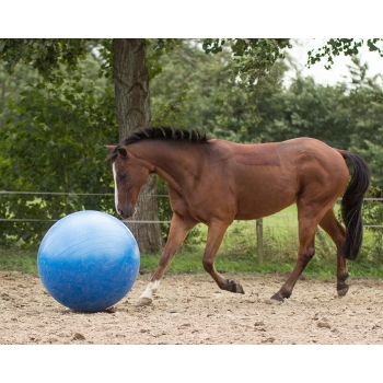 Ballon de jeu pour chevaux Myhorsely I L'équipement des chevaux et du cavalier. Magasin en ligne d'équitation dédié au cavalier
