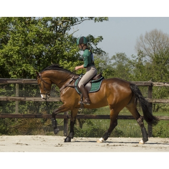 Cloches technical Myhorsely I L'équipement des chevaux et du cavalier. Magasin en ligne d'équitation dédié au cavalier