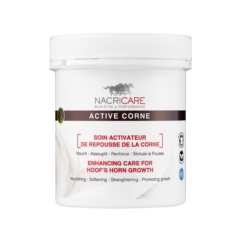 ACTIVE CORNE Myhorsely I L'équipement des chevaux et du cavalier. Magasin en ligne d'équitation dédié au cavalier ACTIVE CORNE Myhorsely I L'équipement des chevaux et du cavalier. Magasin en ligne d'équitation dédié au cavalier
