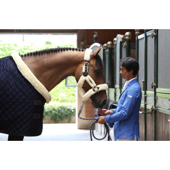 Couverture de présentation Myhorsely I L'équipement des chevaux et du cavalier. Magasin en ligne d'équitation dédié au cavalier