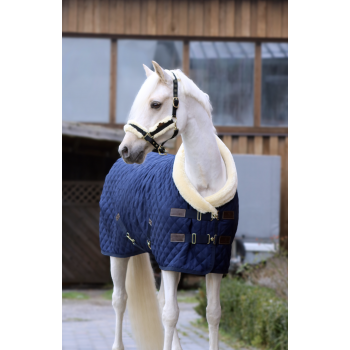 Couverture de présentation Myhorsely I L'équipement des chevaux et du cavalier. Magasin en ligne d'équitation dédié au cavalier