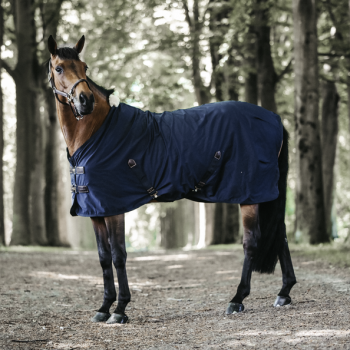 chemise coton Myhorsely I L'équipement des chevaux et du cavalier. Magasin en ligne d'équitation dédié au cavalier