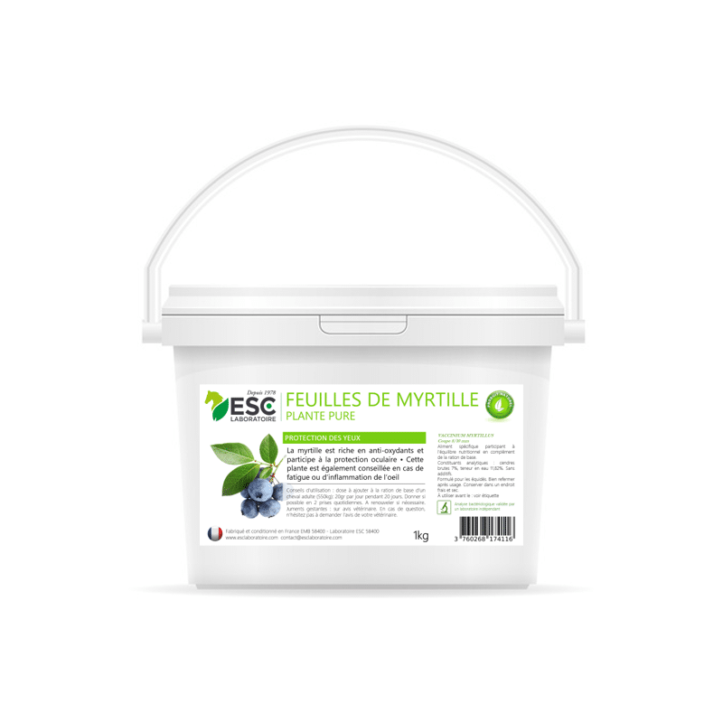 Feuilles de Myrtille – Protection des yeux cheval – Plante pure Myhorsely %description_short|limit|%