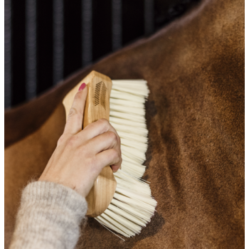 bouchons a poils doux Myhorsely I L'équipement des chevaux et du cavalier. Magasin en ligne d'équitation dédié au cavalier