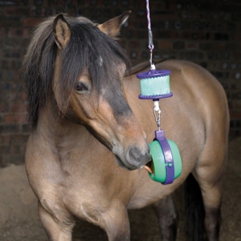 boredom buster Myhorsely I L'équipement des chevaux et du cavalier. Magasin en ligne d'équitation dédié au cavalier