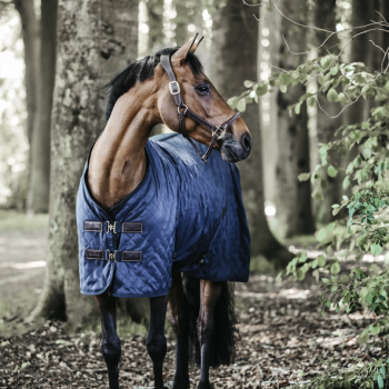 COUVERTURE D'ÉCURIE 0G Myhorsely I L'équipement des chevaux et du cavalier. Magasin en ligne d'équitation dédié au cavalier