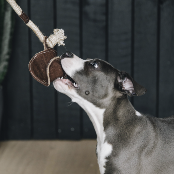 JOUET POUR CHIEN AVEC CORDE EN COTON BASEBALL