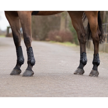 Protège boulets Champion Myhorsely I L'équipement des chevaux et du cavalier. Magasin en ligne d'équitation dédié au cavalier