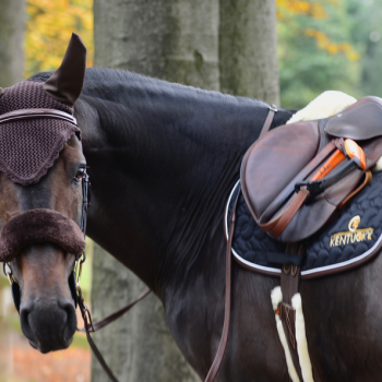 FOURREAU DE MUSEROLLE Myhorsely I L'équipement des chevaux et du cavalier. Magasin en ligne d'équitation dédié au cavalier