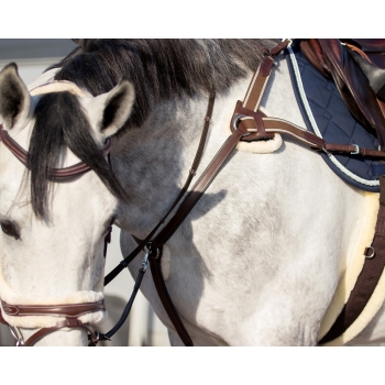 Collier de chasse Ontario Myhorsely I L'équipement des chevaux et du cavalier. Magasin en ligne d'équitation dédié au cavalier