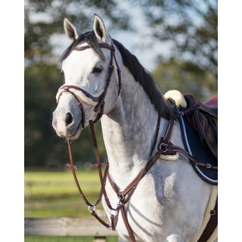 Bridon Ontario Myhorsely I L'équipement des chevaux et du cavalier. Magasin en ligne d'équitation dédié au cavalier