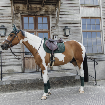 TAPIS DE SELLE VELVET PEARLS JUMPING