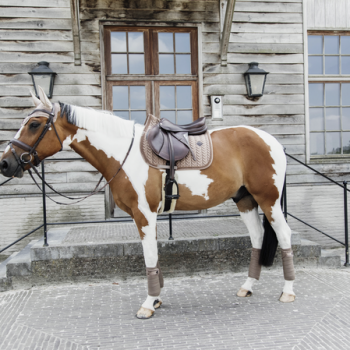 TAPIS DE SELLE VELVET PEARLS JUMPING