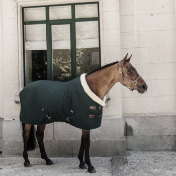 Couverture de présentation Myhorsely I L'équipement des chevaux et du cavalier. Magasin en ligne d'équitation dédié au cavalier