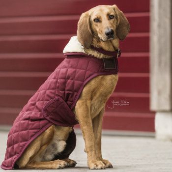 MANTEAU POUR CHIEN ORIGINAL Myhorsely I L'équipement des chevaux et du cavalier. Magasin en ligne d'équitation dédié au cavalier