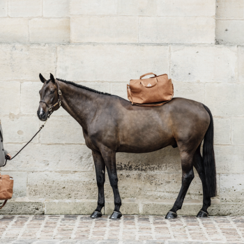 CHESTNUT SAC WEEK-END Myhorsely I L'équipement des chevaux et du cavalier. Magasin en ligne d'équitation dédié au cavalier