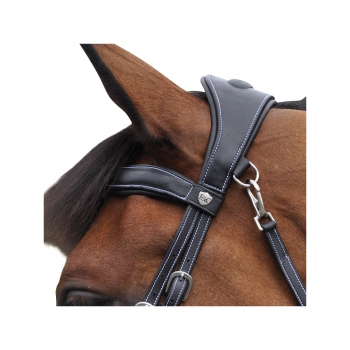 Bridon comfort combine Myhorsely I L'équipement des chevaux et du cavalier. Magasin en ligne d'équitation dédié au cavalier