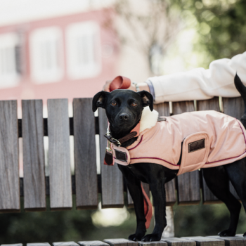 MANTEAU IMPERMÉABLE 160G Myhorsely I L'équipement des chevaux et du cavalier. Magasin en ligne d'équitation dédié au cavalier