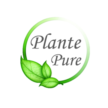 Reglisse - plante pure