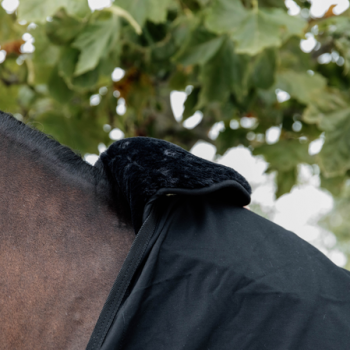 HORSE BIB PROTECTION GARROT MOUTON