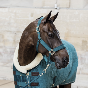 LICOL VELVET Myhorsely I L'équipement des chevaux et du cavalier. Magasin en ligne d'équitation dédié au cavalier