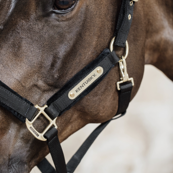LICOL VELVET Myhorsely I L'équipement des chevaux et du cavalier. Magasin en ligne d'équitation dédié au cavalier