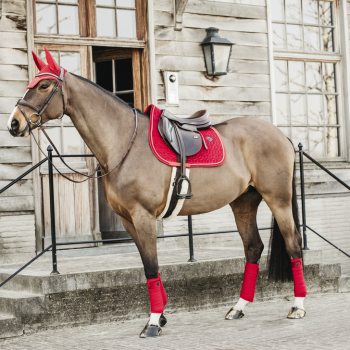 TAPIS VELVET JUMPING Myhorsely I L'équipement des chevaux et du cavalier. Magasin en ligne d'équitation dédié au cavalier