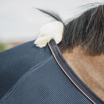 CHEMISE MESH COMBO Myhorsely I L'équipement des chevaux et du cavalier. Magasin en ligne d'équitation dédié au cavalier