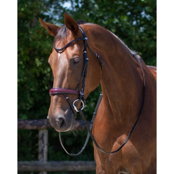 Bridon Chianti Myhorsely I L'équipement des chevaux et du cavalier. Magasin en ligne d'équitation dédié au cavalier