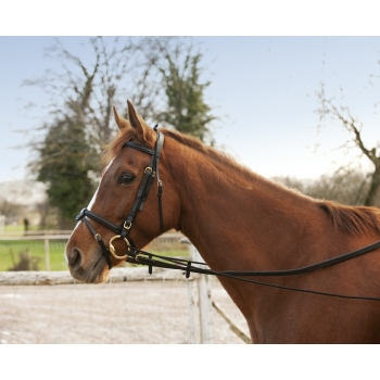 Enrênement élastique Myhorsely I L'équipement des chevaux et du cavalier. Magasin en ligne d'équitation dédié au cavalier