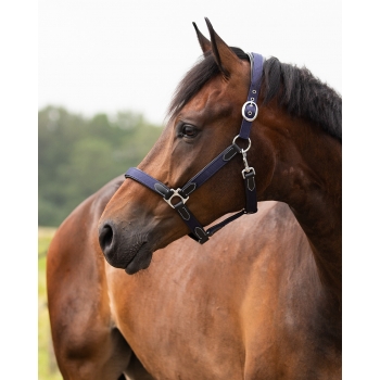 Licol fin cuir Myhorsely I L'équipement des chevaux et du cavalier. Magasin en ligne d'équitation dédié au cavalier