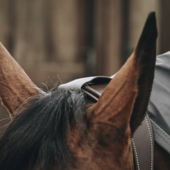 MANTEAU IMPERMÉABLE POUR CHEVAUX HURRICANE