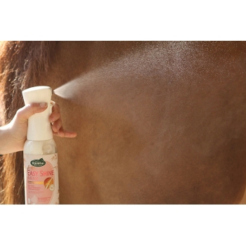 Application du démêlant Easy Shine Intense sur la crinière d’un cheval.