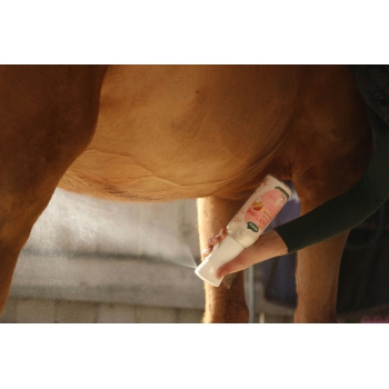 Démêlant crinière Easy Shine Intense Ravene pour chevaux
