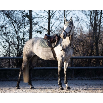 Tapis de selle Phoenix Myhorsely I L'équipement des chevaux et du cavalier. Magasin en ligne d'équitation dédié au cavalier