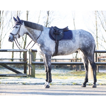 Bonnet Phoenix Myhorsely I L'équipement des chevaux et du cavalier. Magasin en ligne d'équitation dédié au cavalier