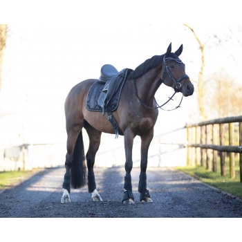 Guêtres fermées Gloss Myhorsely I L'équipement des chevaux et du cavalier. Magasin en ligne d'équitation dédié au cavalier