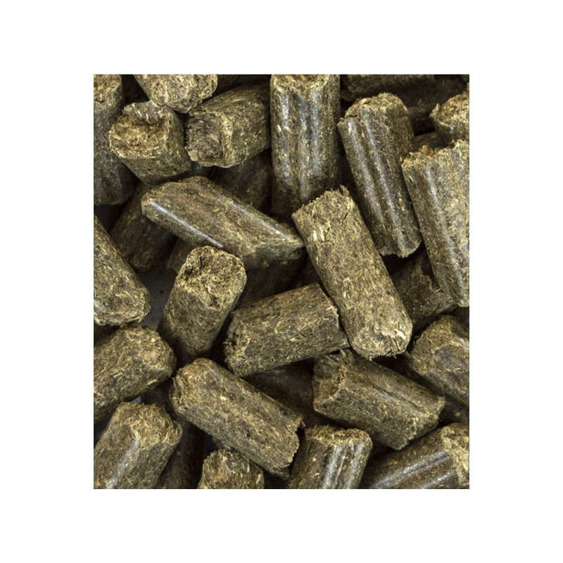 EQUIGOOD EUCALYPTUS Myhorsely I L'équipement des chevaux et du cavalier. Magasin en ligne d'équitation dédié au cavalier