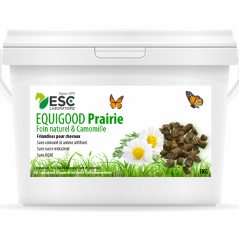 EQUIGOOD PRAIRIE – Friandises naturelles pour chevaux à base de foin de prairie