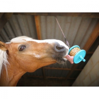 FRIANDISES LIKIT "GRANOLA" Myhorsely I L'équipement des chevaux et du cavalier. Magasin en ligne d'équitation dédié au cavalier