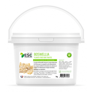 BOSWELLIA SERRATA – Plante pure – Inflammations articulaires et pulmonaires cheval