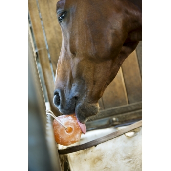 PIERRE À SEL HIPPOTONIC DE L'HIMALAYA 3kg