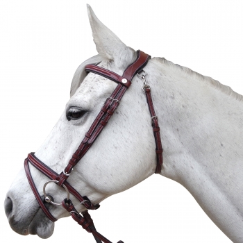Bridon FLAGS&CUP Lanaken Myhorsely I L'équipement des chevaux et du cavalier. Magasin en ligne d'équitation dédié au cavalier