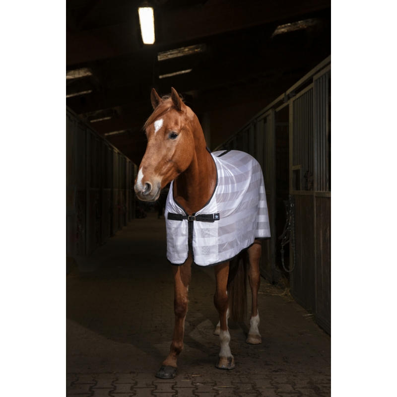 CHEMISE EQUITHÈME "MESH" Myhorsely I L'équipement des chevaux et du cavalier. Magasin en ligne d'équitation dédié au cavalier