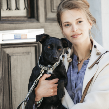 COLLIER POUR CHIEN PIED-DE-POULE