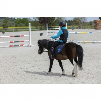 DORSALE EQUITHÈME "MESH" Myhorsely I L'équipement des chevaux et du cavalier. Magasin en ligne d'équitation dédié au cavalier