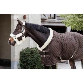 Couverture de présentation Myhorsely I L'équipement des chevaux et du cavalier. Magasin en ligne d'équitation dédié au cavalier