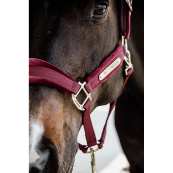 LICOL VELVET Myhorsely I L'équipement des chevaux et du cavalier. Magasin en ligne d'équitation dédié au cavalier