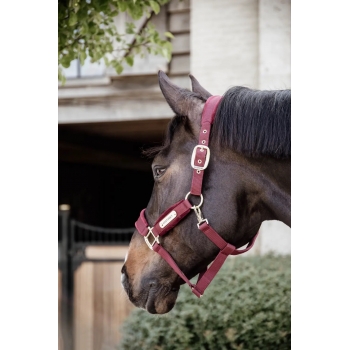 LICOL VELVET Myhorsely I L'équipement des chevaux et du cavalier. Magasin en ligne d'équitation dédié au cavalier